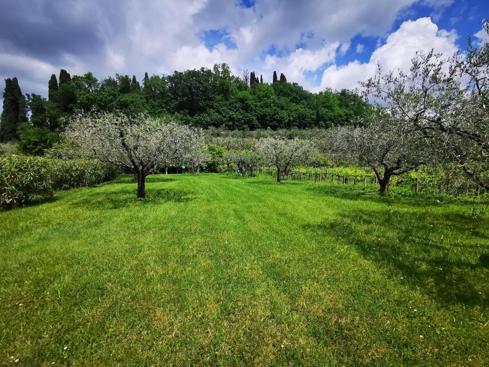 Casa Ghirlanda Con Piscina E Campo Da Tennis Lazise Exteriér fotografie